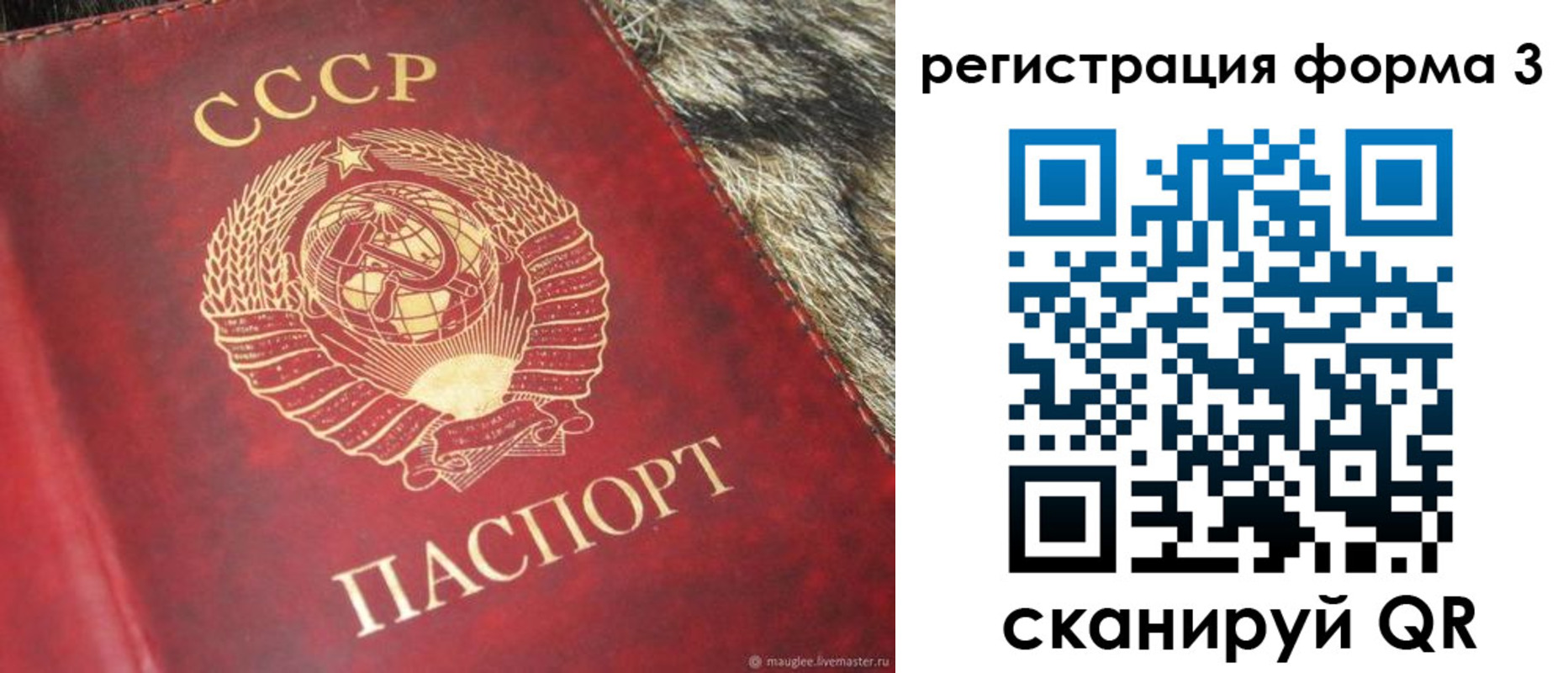 прописка регистрация в Мордовии